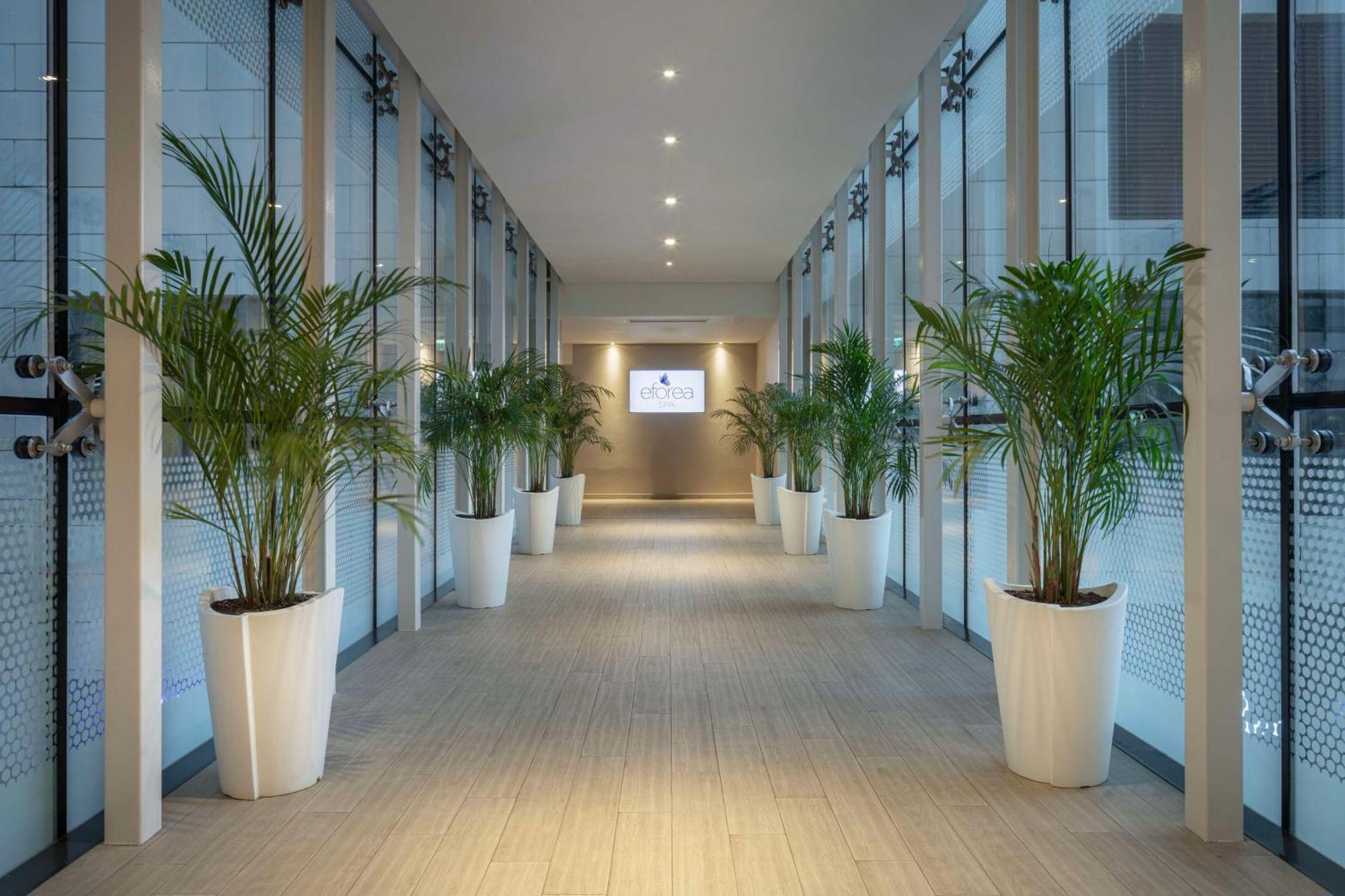 Hilton Hotel